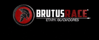 brutusrace brutus brutusrace somostodosbrutus GIF