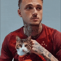 Noa Lang Football GIF