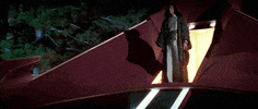 Looking Star Trek GIF by Goldmaster
