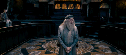 harry potter and the order of the phoenix GIF