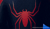 Tobey Maguire Costume GIF by Spider-Man