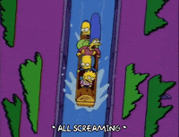 homer simpson GIF