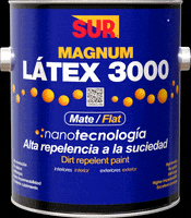 Casa Colores GIF by Grupo Sur Nicaragua