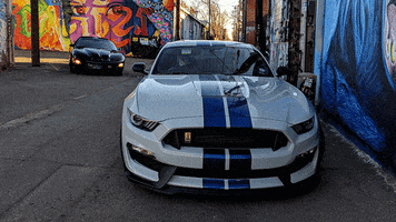 ColoradoCarsAndCoffee mustang shelby gt350 ws6 GIF