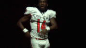 cnfb18 cnfootball18 GIF by Carson-Newman Athletics