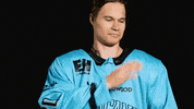 Ice Hockey Celebration GIF by Pelicans Lahti