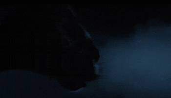 RadioactivePictures wtf nope scary creepy GIF