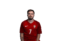 Celebrate Euro 2024 Sticker by Jake Martella