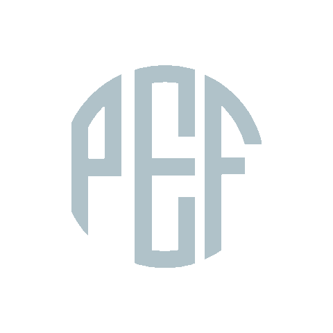 NYSPUBLICEMPLOYEESFEDERATION union union strong pef nys pef Sticker