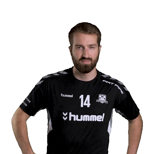 hattrick-brno sport floorball salibandy innebandy Sticker