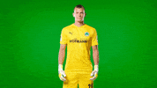 Good Mood Yes GIF by SpVgg Greuther Fürth