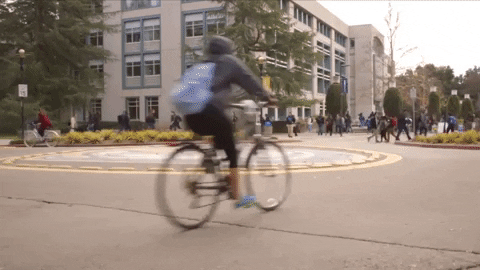 college life fun GIF by UCDavis