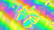 kaceymusgraves kacey musgraves oh what a world GIF