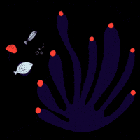 GIF by Raja – škola športu