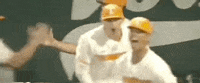 World Series Baseball GIF by NCAA Championships
