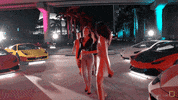 karatecombat sports sport karate karatecombat GIF