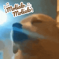 Comida Molito GIF by Mole Doña María
