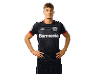 Bayer 04 Werkself Sticker by Bayer 04 Leverkusen