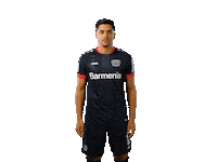 Bayer 04 Werkself Sticker by Bayer 04 Leverkusen