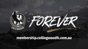 community afl GIF by CollingwoodFC