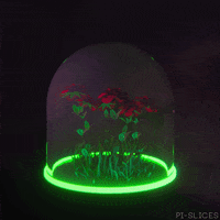 pislices trippy flower abstract rose GIF