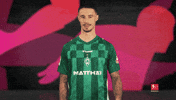 Werder Bremen No GIF by Bundesliga