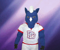 Spirit Shrug GIF by Providence Day School
