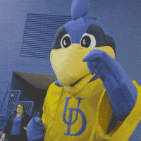 BlueHens football basketball hug ncaa GIF