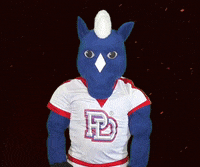 Spirit No GIF by Providence Day School