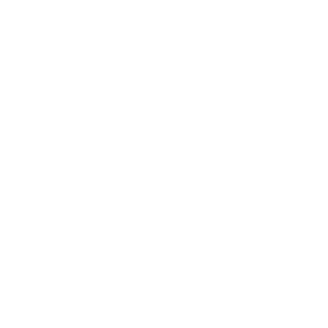 India Records Sticker by SE3K