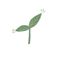 naturesupplyco nature plant leaf grow Sticker