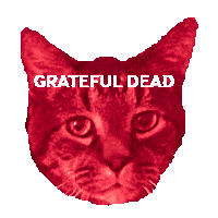 Grateful Dead Cat Sticker