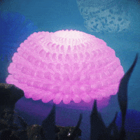 jaydloe animation loop design c4d GIF