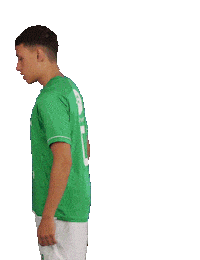 Line Up Football Sticker by Westlandia