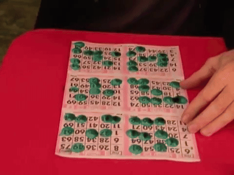 Bingo