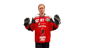 Sport Goal Sticker by HDD SIJ Acroni Jesenice
