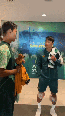 highansol93 giphyupload GIF