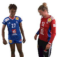 Ffhandball Sticker by Fédération Française de Handball