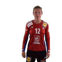 Ffhandball Sticker by Fédération Française de Handball
