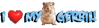 Guinea Pig Love Sticker