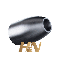 HN-SPORT hnsport hnslug Sticker