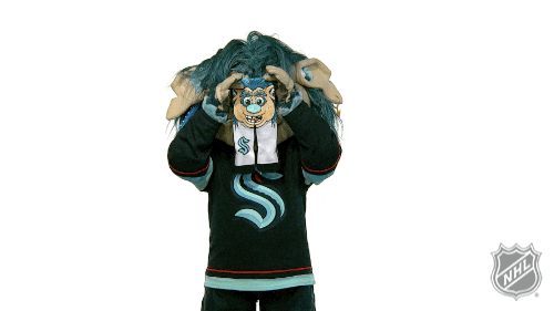 Ice Hockey Sport GIF by NHL