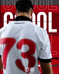 King Of The North GIF by SAMSUNSPOR