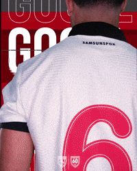 King Of The North GIF by SAMSUNSPOR