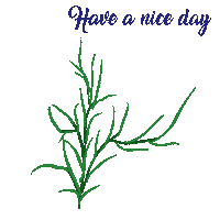 Have A Nice Day Flower Sticker