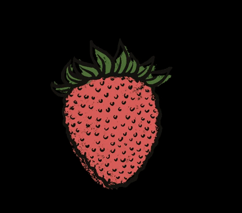 bauerschwaller giphygifmaker strawberry farmer rotation GIF
