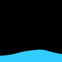 united states submission GIF by The Savannah .GIF Festival