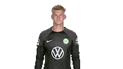 Three Points Win Sticker by VfL Wolfsburg