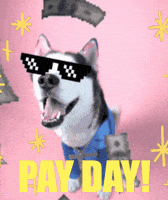 swagrman dog money rich husky GIF