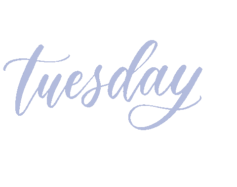 Jaydubayoo giphyupload tuesday jacque dutybeauty Sticker